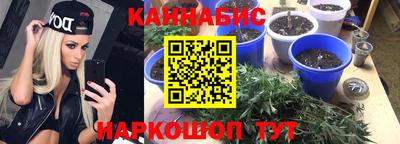a pvp Краснокаменск