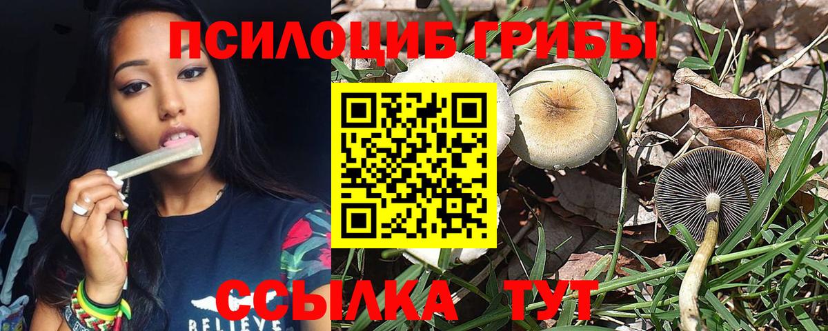 Кашира  Псилоцибиновые грибы Psilocybine cubensis  Галлюциногенные грибы ЛСД  Вход с VPN 